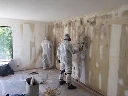 Best Industrial Mold Remediation in USA